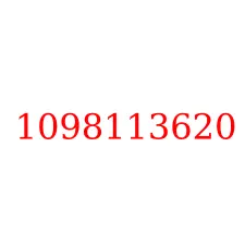 1098113620