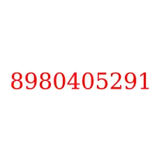 8980405291