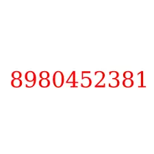 8980452381