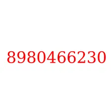 8980466230