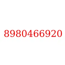 8980466920