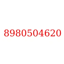 8980504620