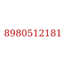 8980512181