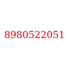 8980522051