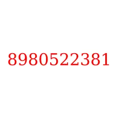 8980522381