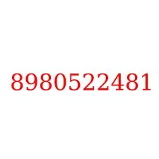 8980522481