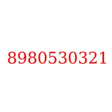 8980530321