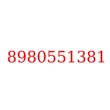 8980551381