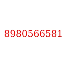 8980566581