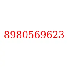 8980569623