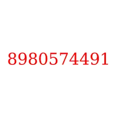 8980574491