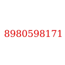 8980598171