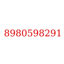 8980598291