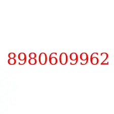 8980609962