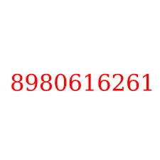 8980616261