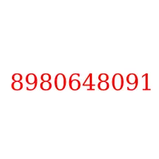 8980648091