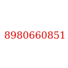 8980660851