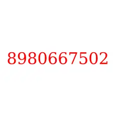 8980667502