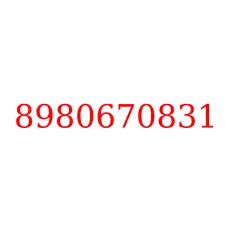 8980670831