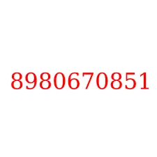 8980670851