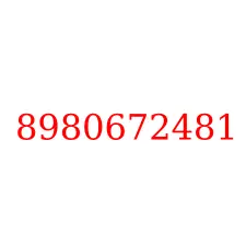 8980672481