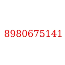 8980675141