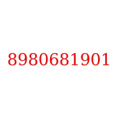 8980681901