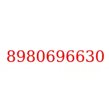 8980696630