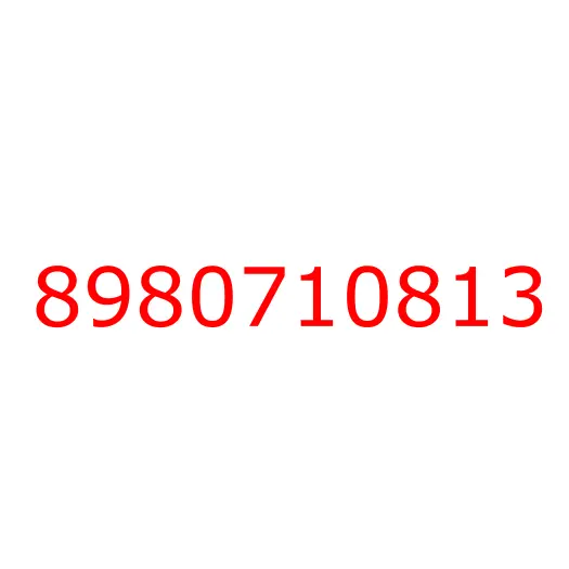 8980710813 02.480 HARNESS; DOOR, 8980710813