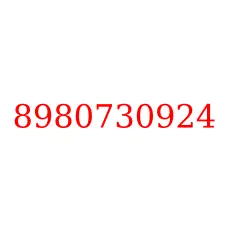 8980730924