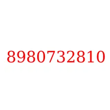 8980732810