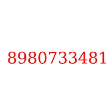 8980733481