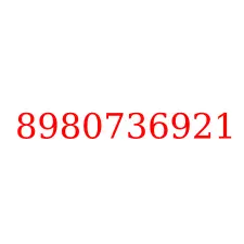 8980736921