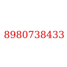 8980738433