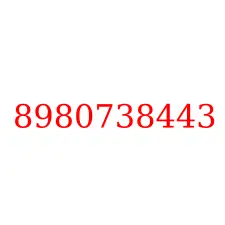 8980738443