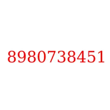 8980738451