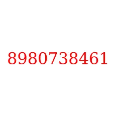 8980738461