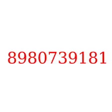 8980739181