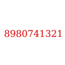 8980741321