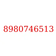 8980746513