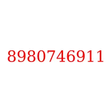 8980746911