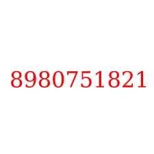 8980751821