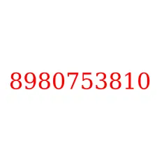 8980753810