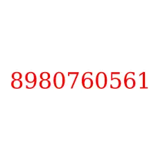 8980760561