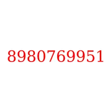 8980769951