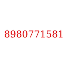 8980771581