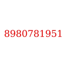 8980781951