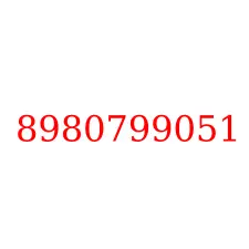 8980799051