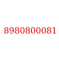 8980800081