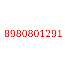 8980801291
